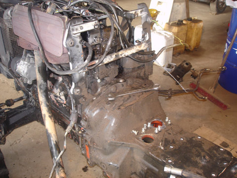 lamborghini 880 BDV 003.JPG