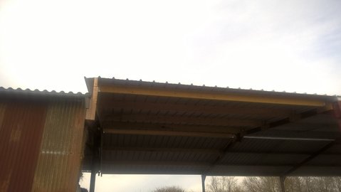 WP_20170129_14_36_53_Pro.jpg