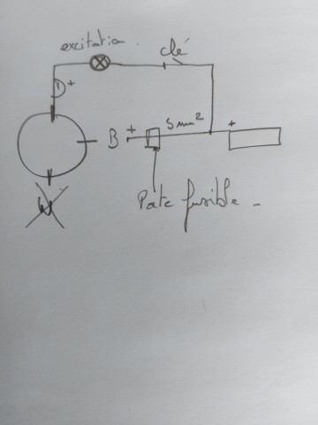 20250308_135352.jpg