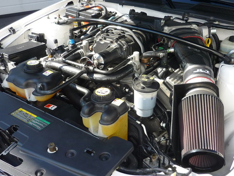 p1030994k.jpg