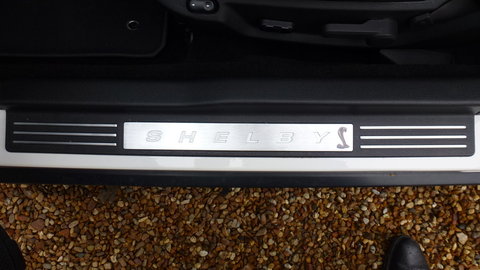 p1010397yc.jpg