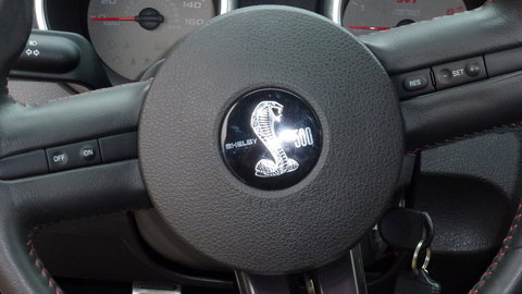 p1010402rm.jpg