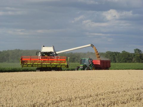 Claas.JPG