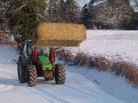 DEUTZ FAHR Agrotron 4.90.JPG