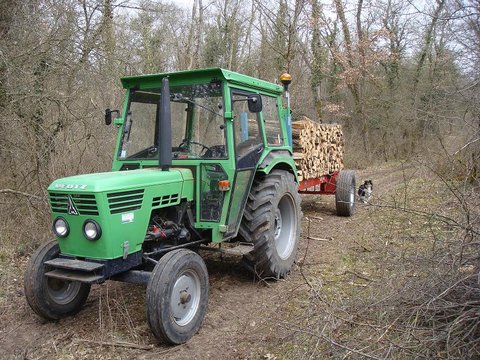 Deutz forêt 2.JPG