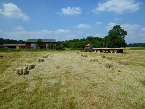 P1020116.jpg