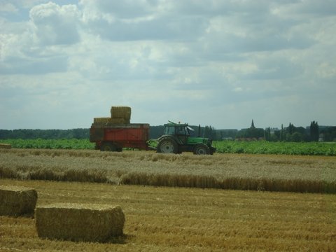 DSC00880.JPG