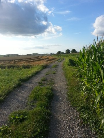 20130813_192118.jpg