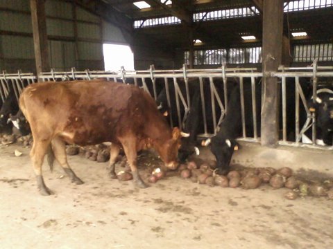 Photo0899.jpg