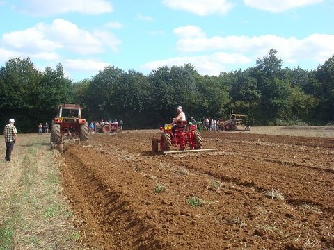 IH946 / IH 946 et sa Goizin