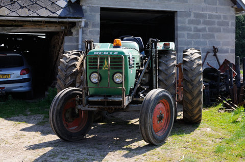 DSC_5596.jpg