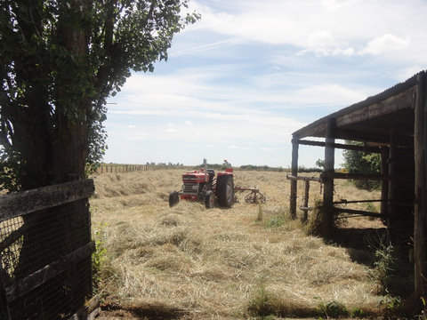 DSC02392.jpg