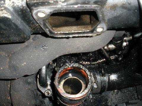 PB101246.JPG