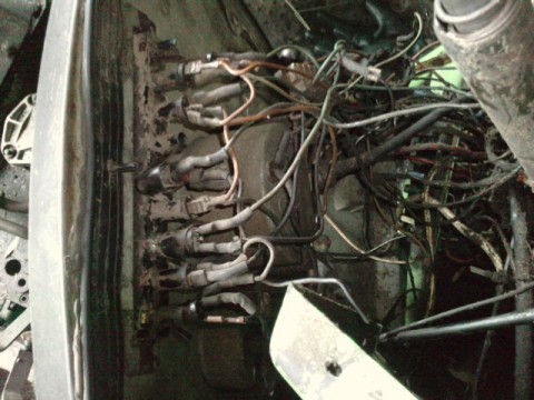 P100610_15.030003.JPG